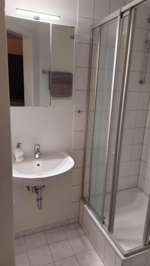 Ferienwohnung Am Stadtwald Freiberg Bagian luar foto